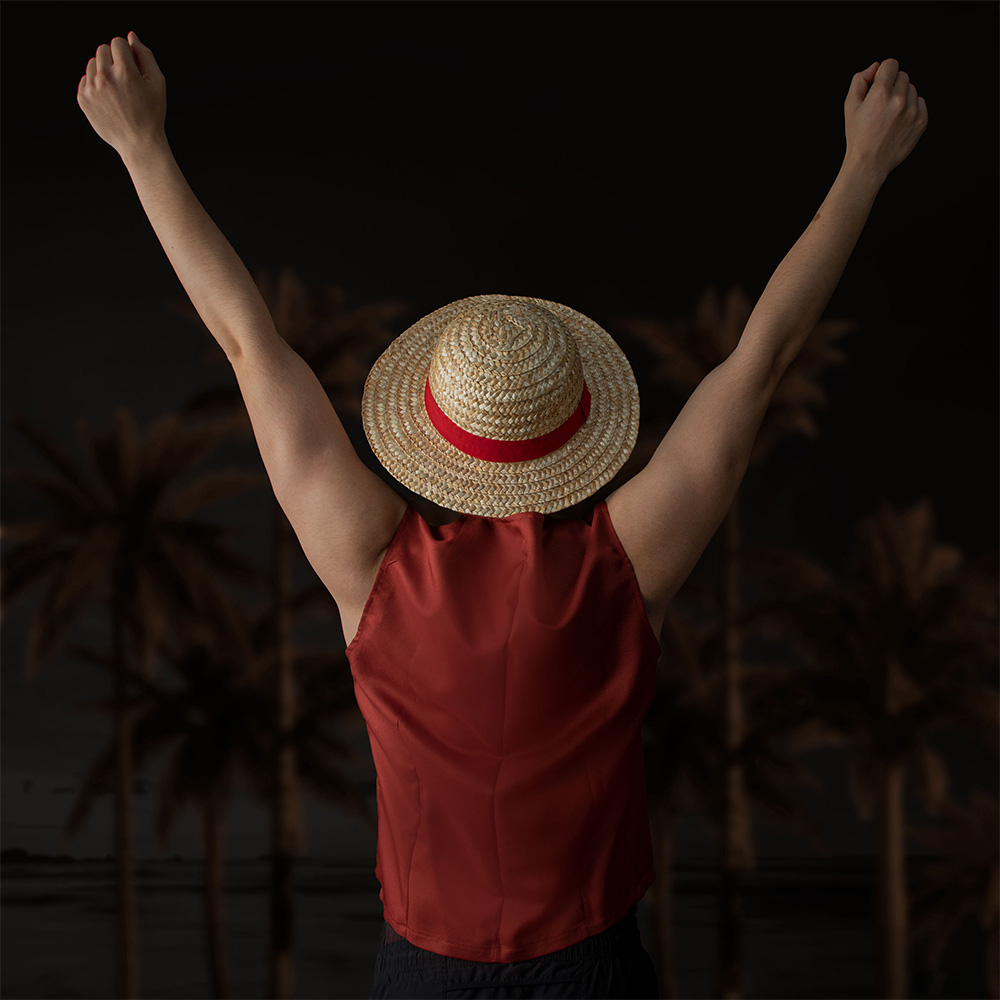 One Piece Officially Licensed  - Anime Cosplay Netflix recensie en prijs