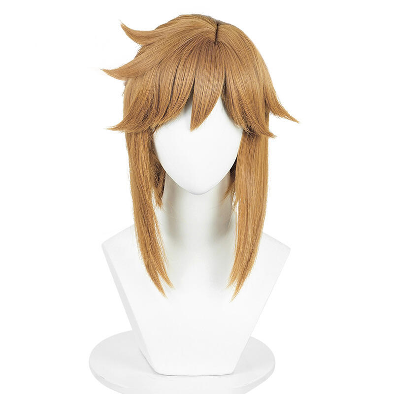 Anime Link Cosplay Wigs Prince - Anime Cosplay Link recensie en prijs